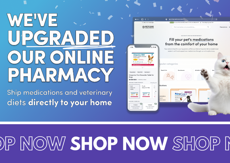 Carousel Slide 3: We've Upgraded our Online Pharmacy!